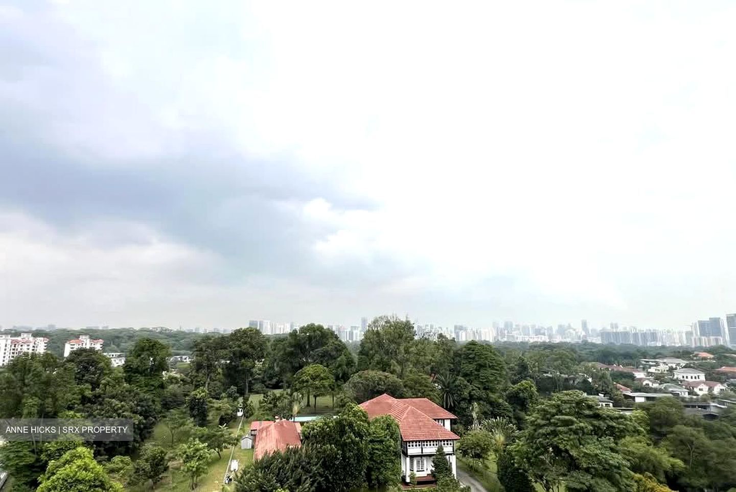 Holland Tower (D10), Apartment #547079461